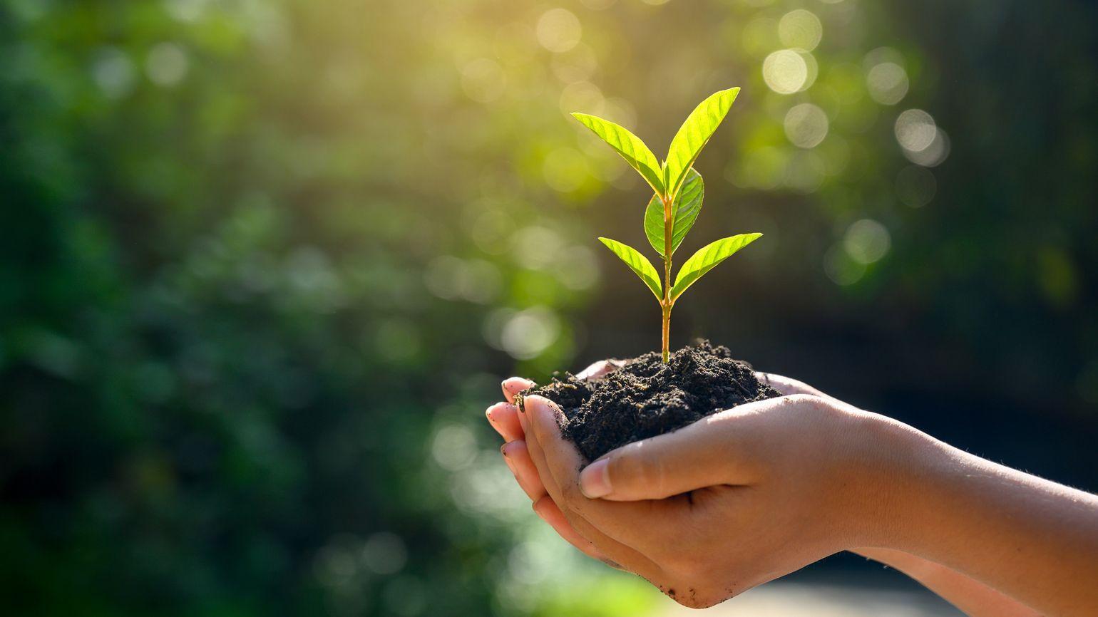 Chia sẻ từ Chuyên gia: Giải pháp của Sự bền vững, ngăn chặn việc trở thành  “rác thải công nghệ”